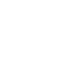 Bandy Manager